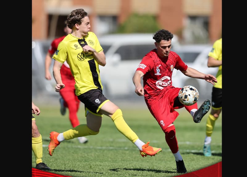 Giải bóng đá NPL Northern NSW Úc 