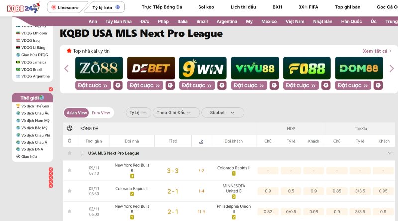 USA MLS Next Pro League